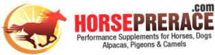 Horseprerace
