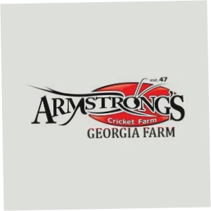 Armstrong Cricket