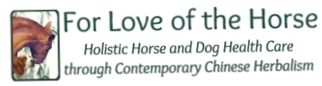 For Love Of The Horse