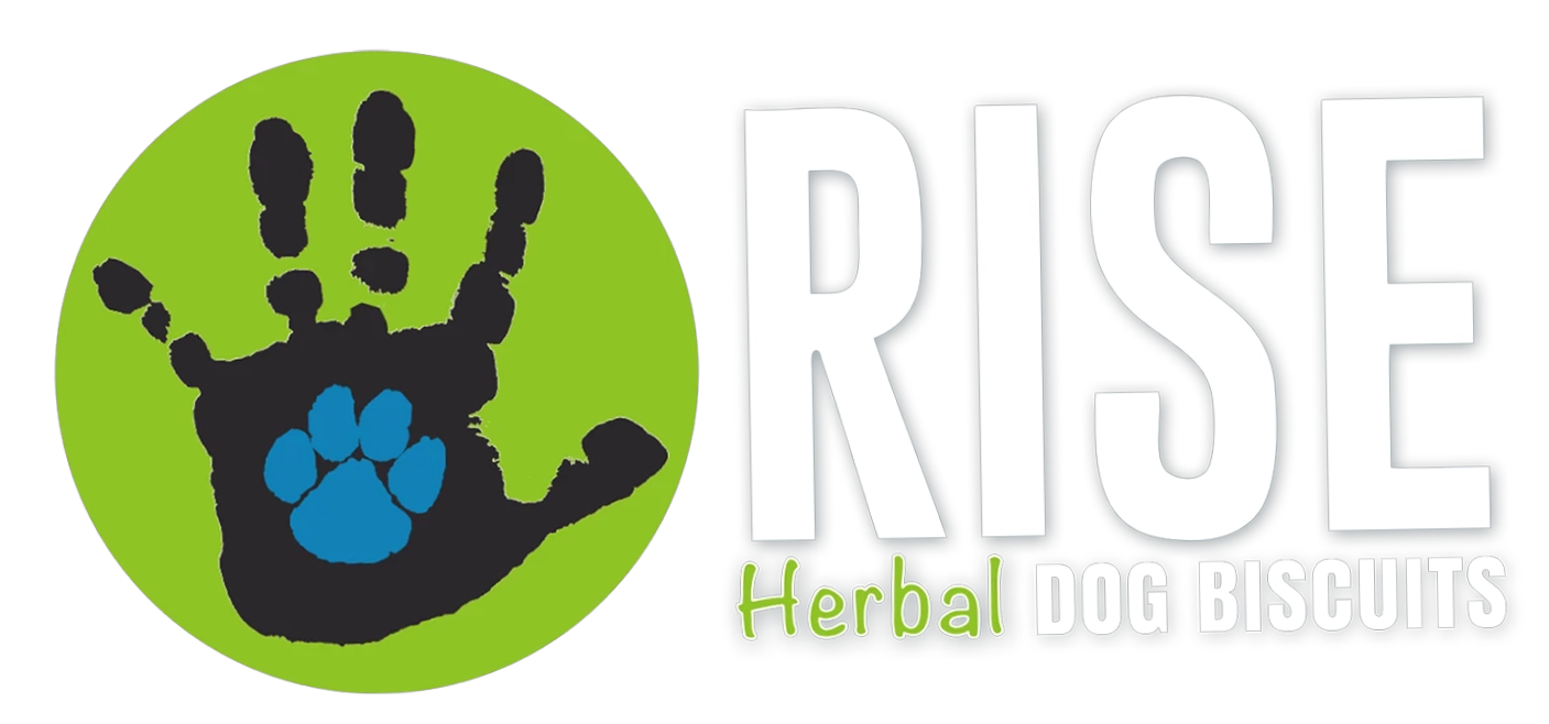 Rise Biscuits