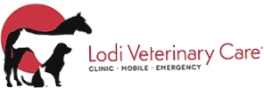 Lodi Vet