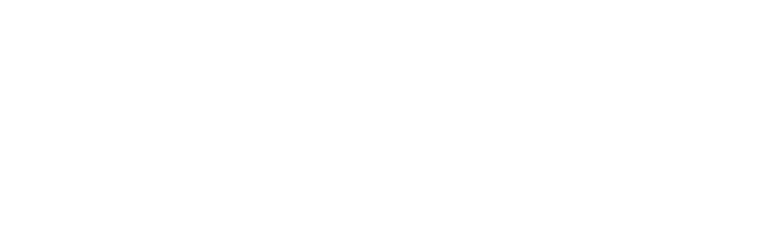 Seresto Flea Collar