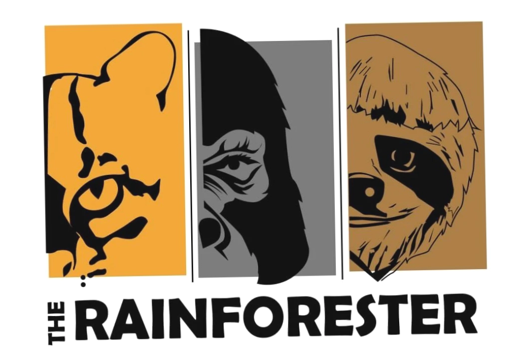 The Rainforester