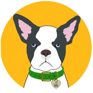 CBD Dog Health