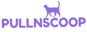 Pulln Scoop