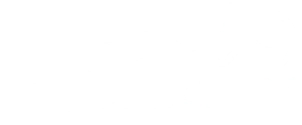 EquiGroomer