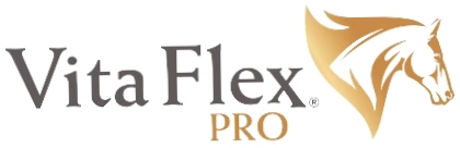 Vita Flex