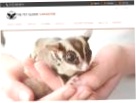 The Pet Glider
