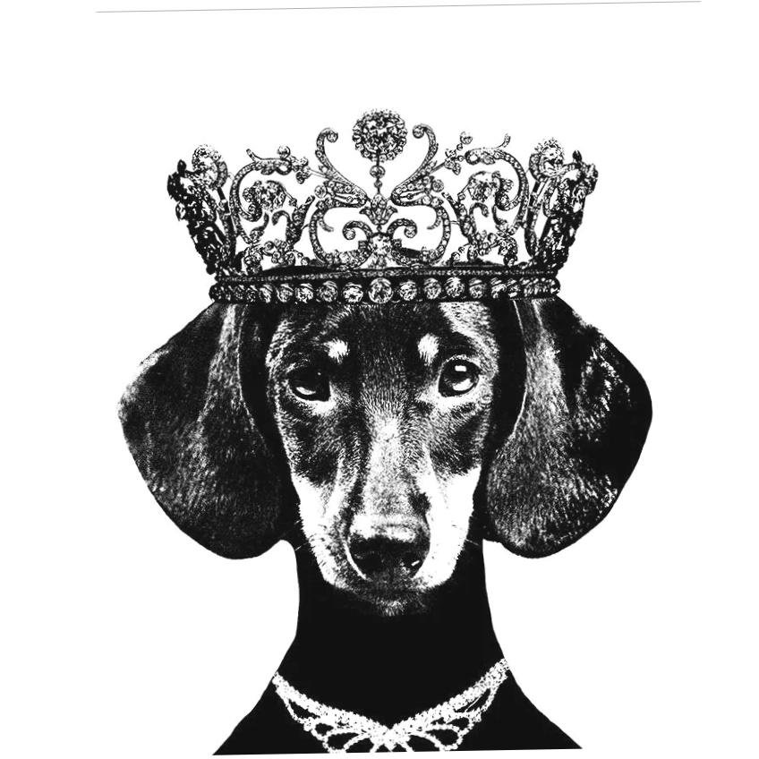 Dermadog