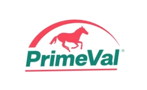 PrimeVal
