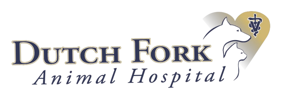Dutch Fork Animal Hospital