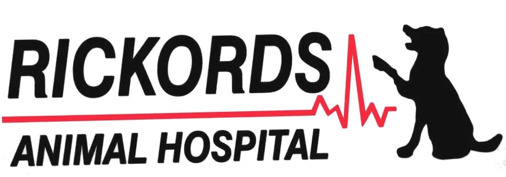 Rickords Animal Hospital