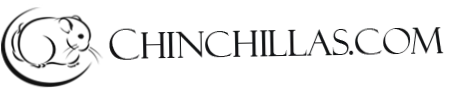 Chinchillas.com