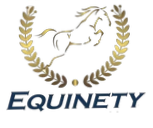 Team Equinety
