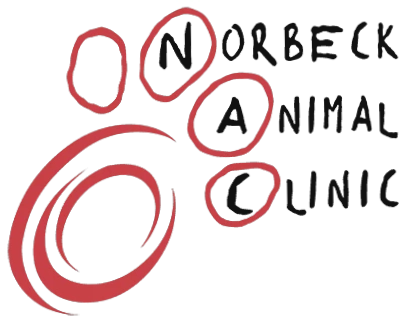 Norbeck Animal Clinic