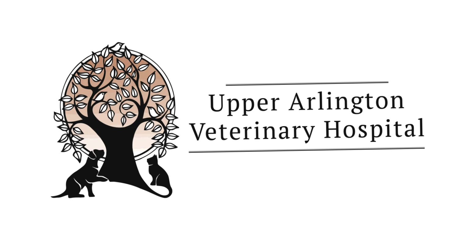 Uavethospital