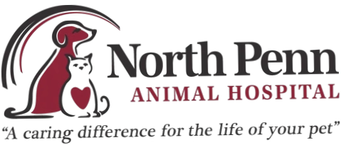 north penn animal hospital