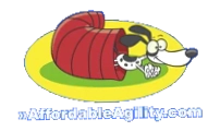 Affordable Agility
