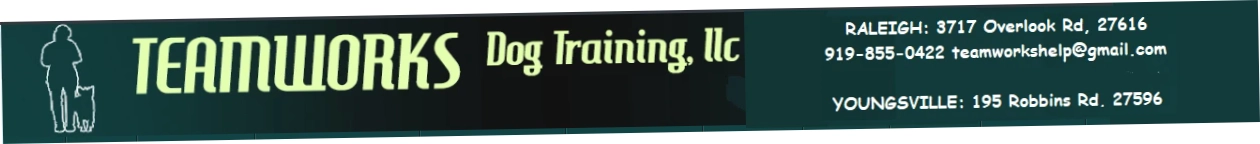 Teamworks Dog Training