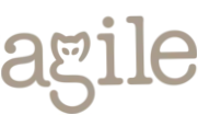 Agile