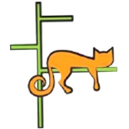 Contempocat