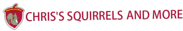 Squirrels and More