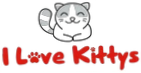 I Love Kittys