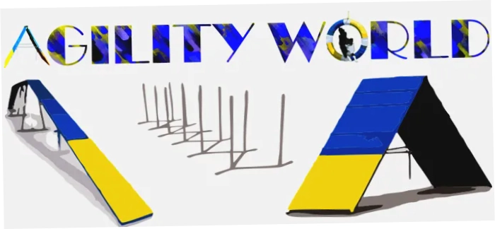 Agility world