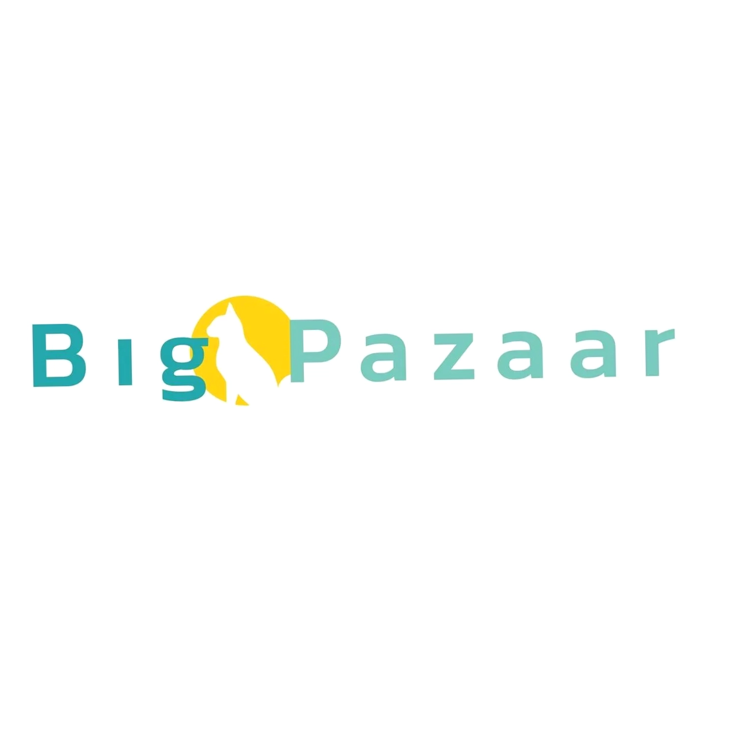 Big Pazaar