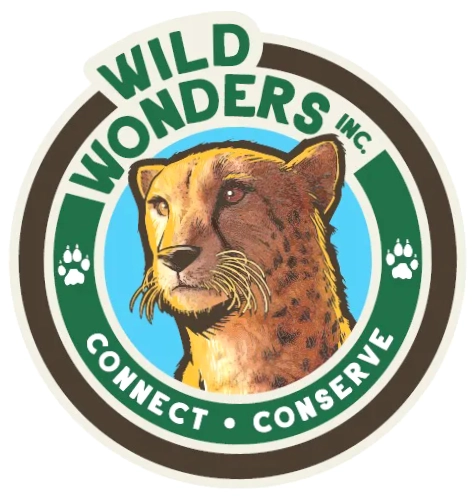 Wild Wonders