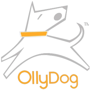 ollydog.com