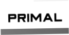 Primal Rings