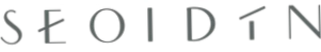 Seoidin