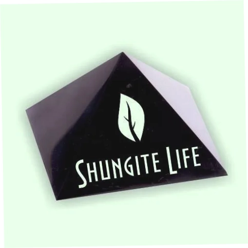 Shungite
