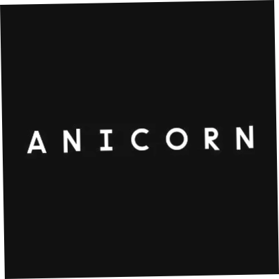 Anicorn Watches