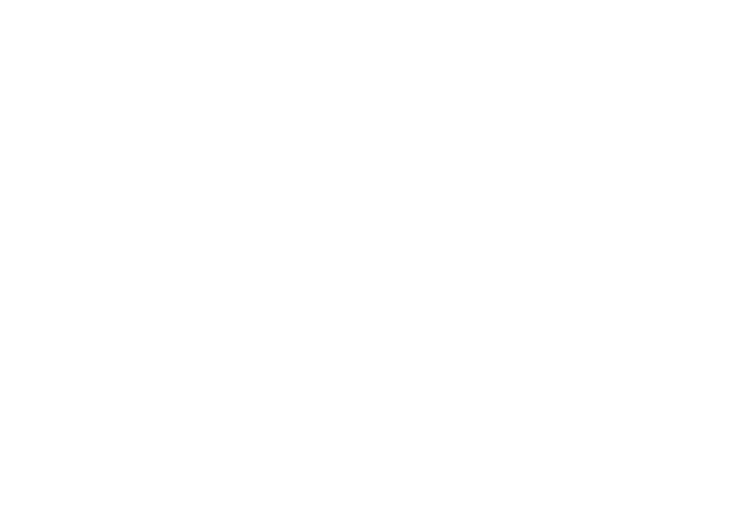 Steel Reef