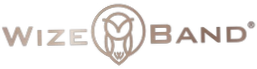 Wizeband
