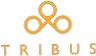 Tribus Watches