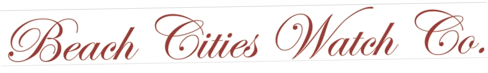 Beach Cities Watch Co
