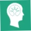 brain feed
