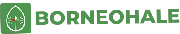 Borneohale