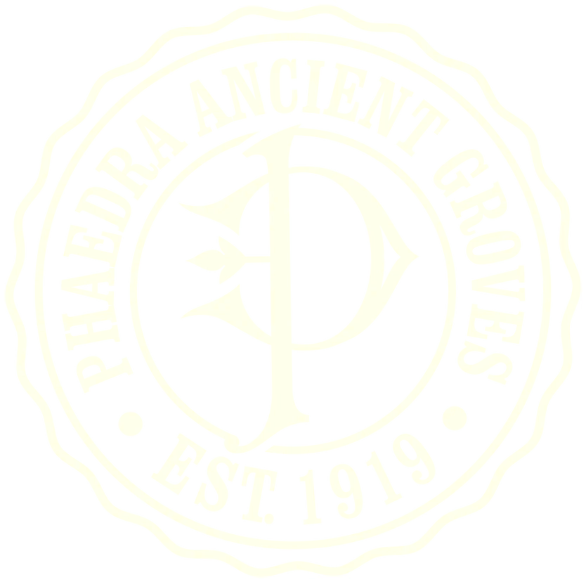 1919