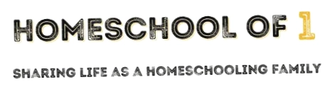 Homeschool of 1