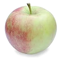 Apple Pencil