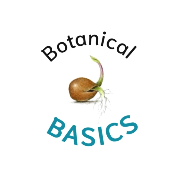 Draw Botanical