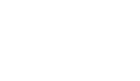 Lone Star Disc