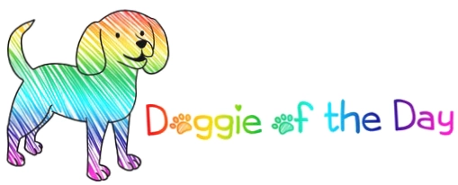 Doggie Of The Day