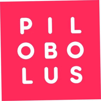 Pilobolus