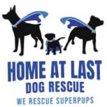 Home At Last Dog Rescue