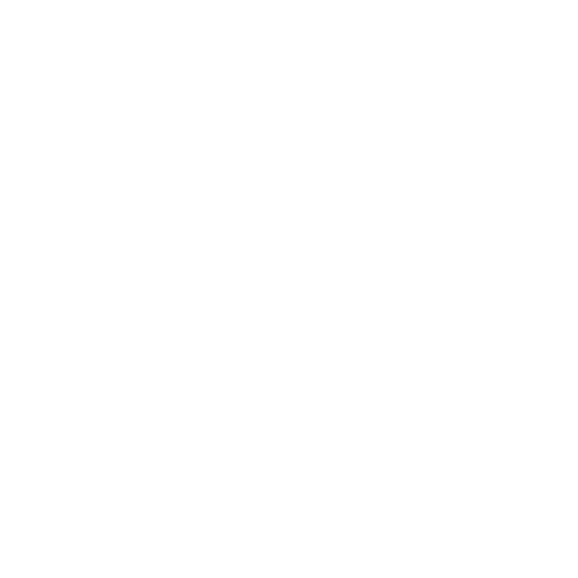 Sellerise